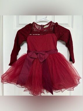 Elegant Cranberry Kids Dress